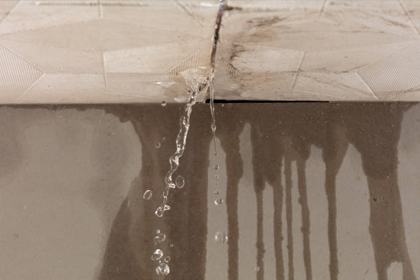 Professional Burst Pipe Cleanup technician working in Jackson, SC